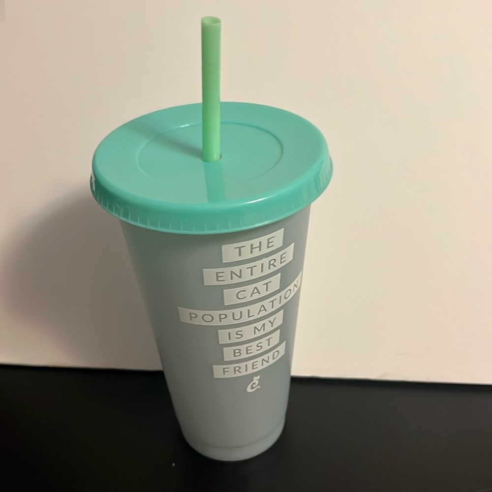 Cat Lady box Cup with straw Grey cup with teal lid and straw Color changes